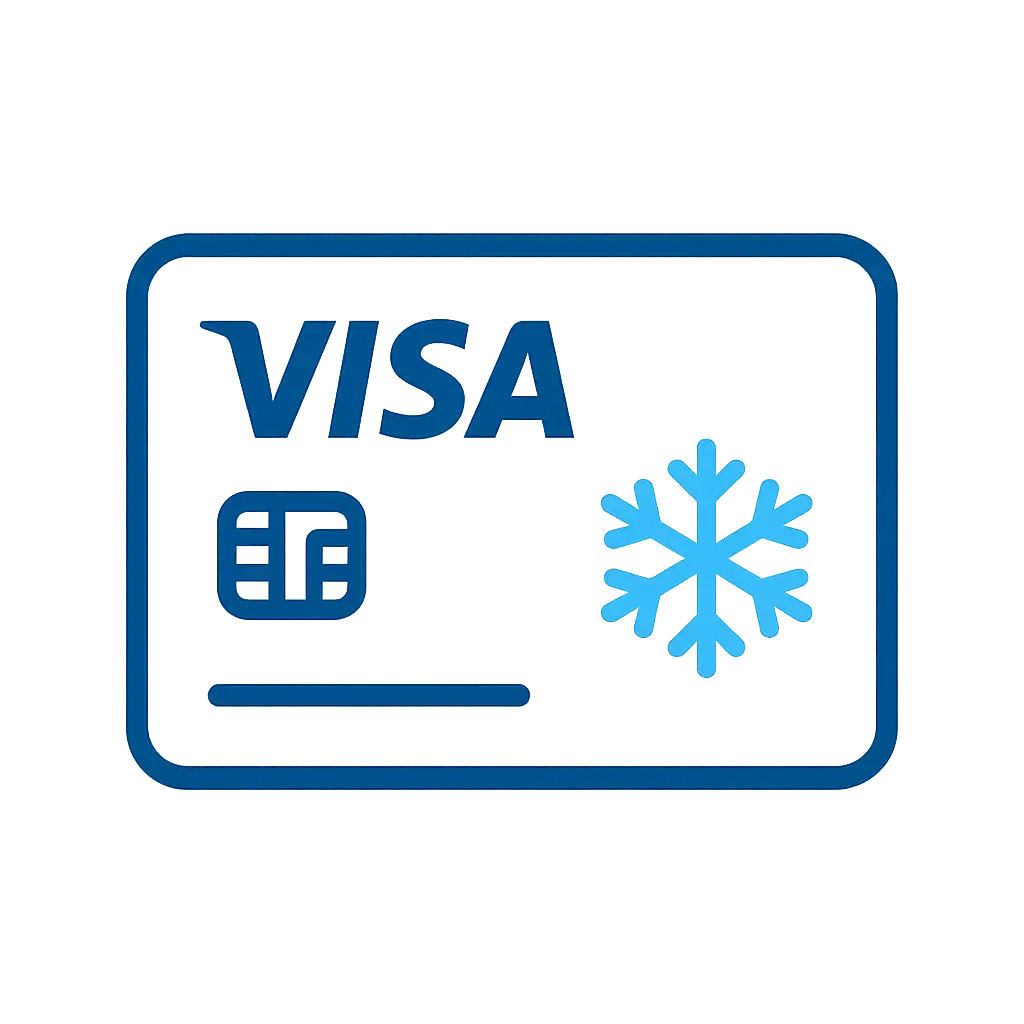 Visa payment icon